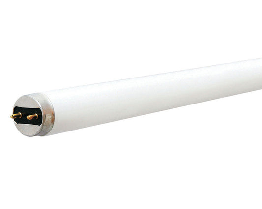 Sylvania 40 watts T8 1 in. Dia. x 60 in. L CFL Bulb Bright White Linear 4100 K 6 pk (Pack of 6)