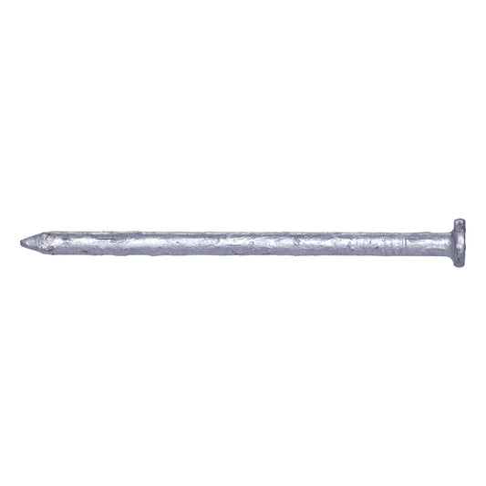 Pro-Fit  4D  1-1/2 in. Common  Hot-Dipped Galvanized  Steel  Nail  Flat  50 lb.