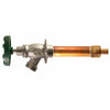 Arrowhead Brass 1/2 PEX Hose Anti-Siphon Brass Wall Hydrant