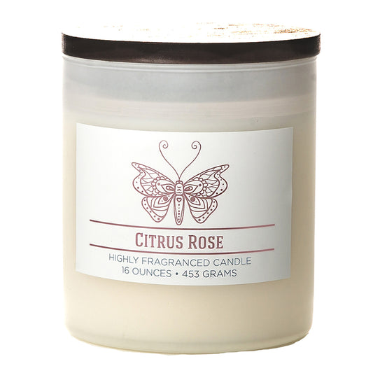 Colonial Candle White Citrus Rose Scent Jar Candle 4.5 in.   H X 3.75 in.   D 16 oz (Pack of 4)
