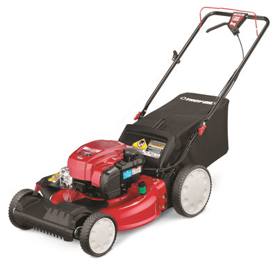 Self-Propelled Lawn Mower, FWD Variable Speeds, 3-N-1, 163cc Briggs & Sratton  Engine, 21-In.