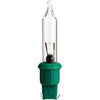 Celebrations  Mini  Incandescent  Replacement Bulb  Clear  2 lights
