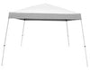Caravan V-Series Polyester Canopy 9 ft. H X 12 ft. W X 12 ft. L