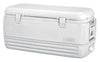 Igloo Polar White 120 qt Cooler