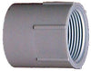 Genova Products 30314 1-1/4 Pvc Sch. 40 Female Adapters
