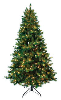 Concord Tree Clr 7.5'