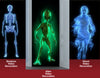 Total HomeFX  Projector Holographic Videos  Halloween Decor