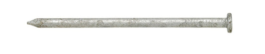 Stallion 6D 2 in. Common Hot-Dipped Galvanized Steel Nail Flat Head 1 lb (Pack of 12).